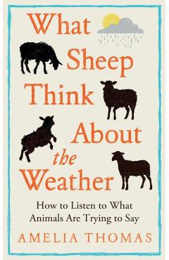 What Sheep Think About the Weather - Amelia Thomas