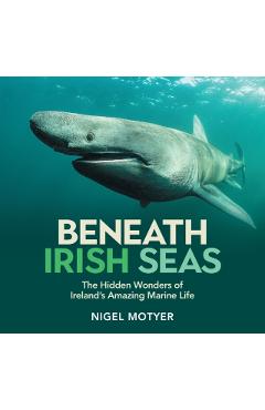 Poza produsului Beneath Irish Seas - Nigel Motyer