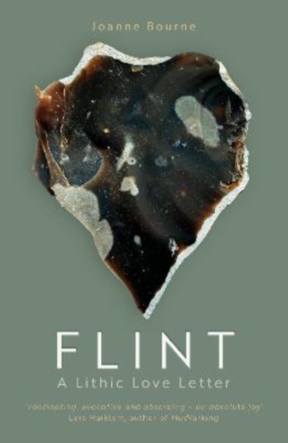Coperta cărții 'Flint - Joanne Bourne'