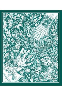 Coperta cărții 'Stolen Child - W. B. Yeats'