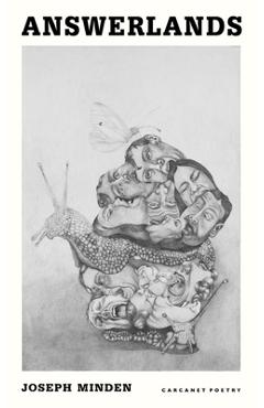 Coperta cărții 'Answerlands - Joseph Minden'