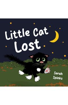Little Cat Lost - Sarah Spinks