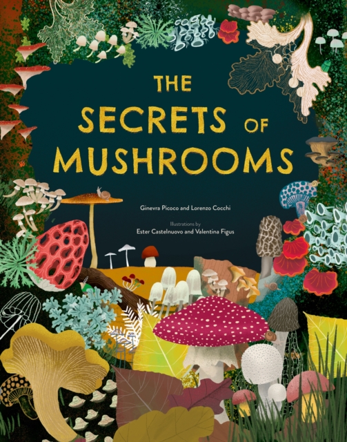 Secrets of Mushrooms - Ginevra|cocchi Picoco