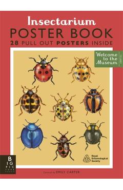 Insectarium Poster Book - Dave Goulson