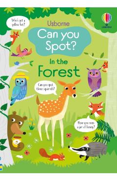 Coperta cărții 'Can you Spot? In the Forest - Kirsteen Robson'