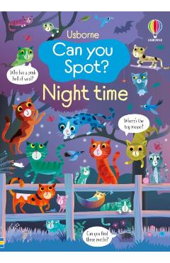 Coperta cărții 'Can you Spot? Night time - Kirsteen Robson'