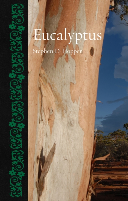 Eucalyptus - Stephen D. Hopper