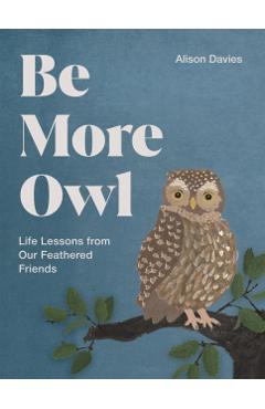 Poza produsului Be More Owl - Alison Davies