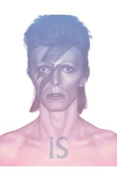Poza produsului David Bowie Is - 