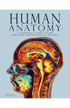 Poza produsului Human Anatomy - 