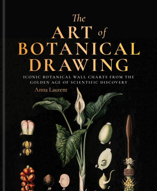 Art of Botanical Painting - Anna Laurent