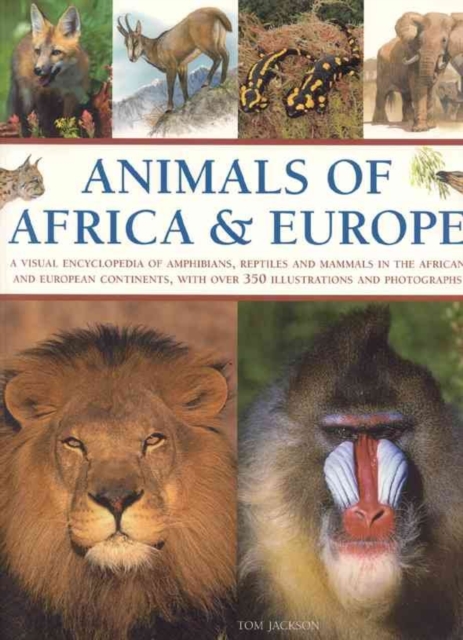 Animals of Africa and Europe - Michael|jackson Chinery