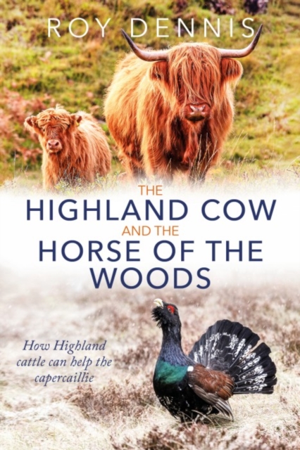 Coperta cărții 'Highland Cow and the Horse of the Woods - Roy Dennis'