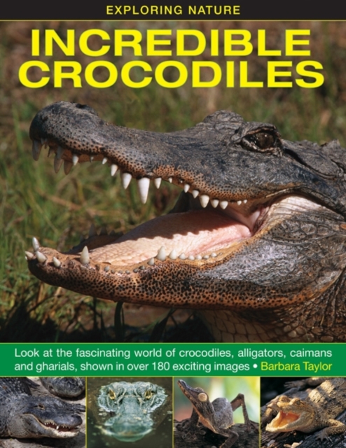 Exploring Nature: Incredible Crocodiles - Barbara Taylor