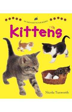 Coperta cărții 'Say and Point Picture Boards: Kittens -'