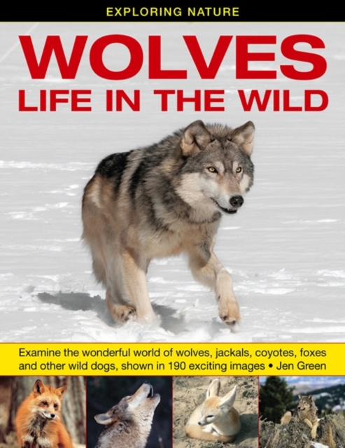 Exploring Nature: Wolves - Life in the Wild - Dr Jen Green