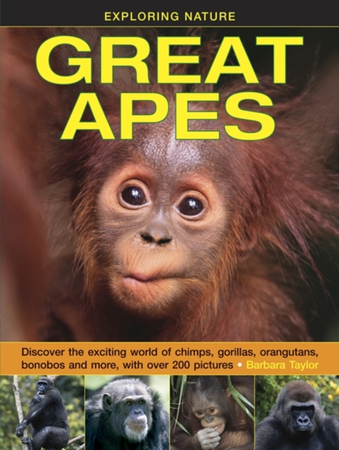 Exploring Nature: Great Apes - 