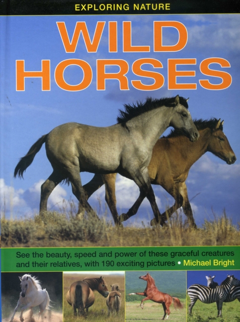 Exploring Nature: Wild Horses - 