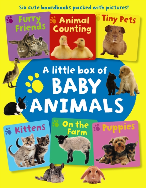 Little Box of Baby Animals - 