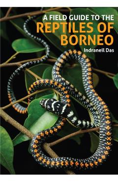Field Guide to the Reptiles of Borneo - Indraneil Das