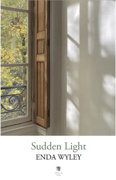 Poza produsului Sudden Light - Enda Wyley