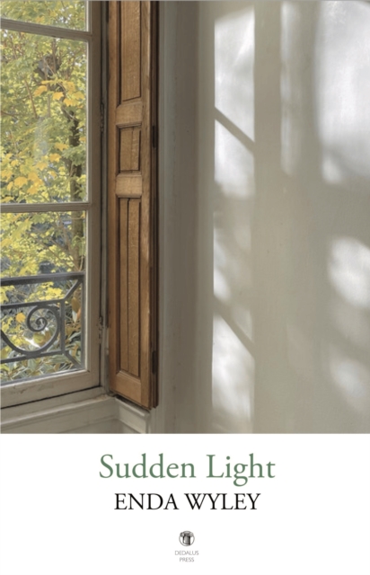 Sudden Light - Enda Wyley