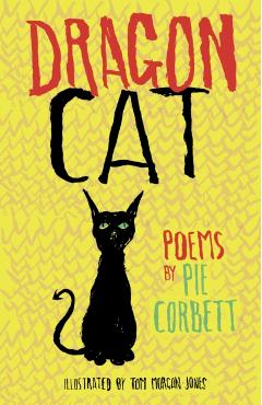 Coperta cărții 'Dragon Cat - Pie Corbett'