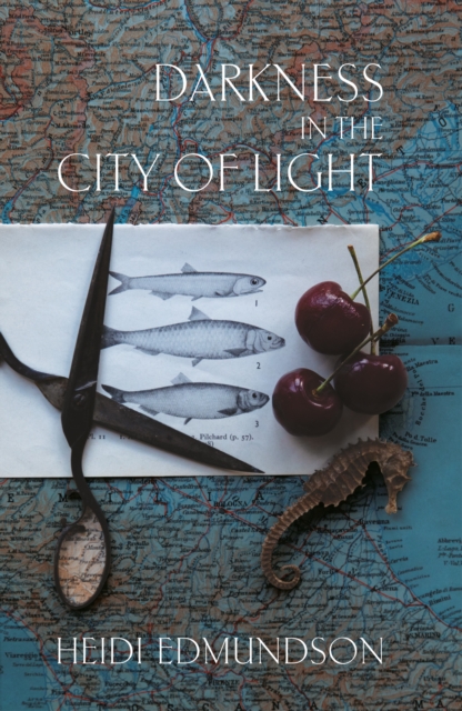 Darkness in the City of Light - Heidi Edmundson