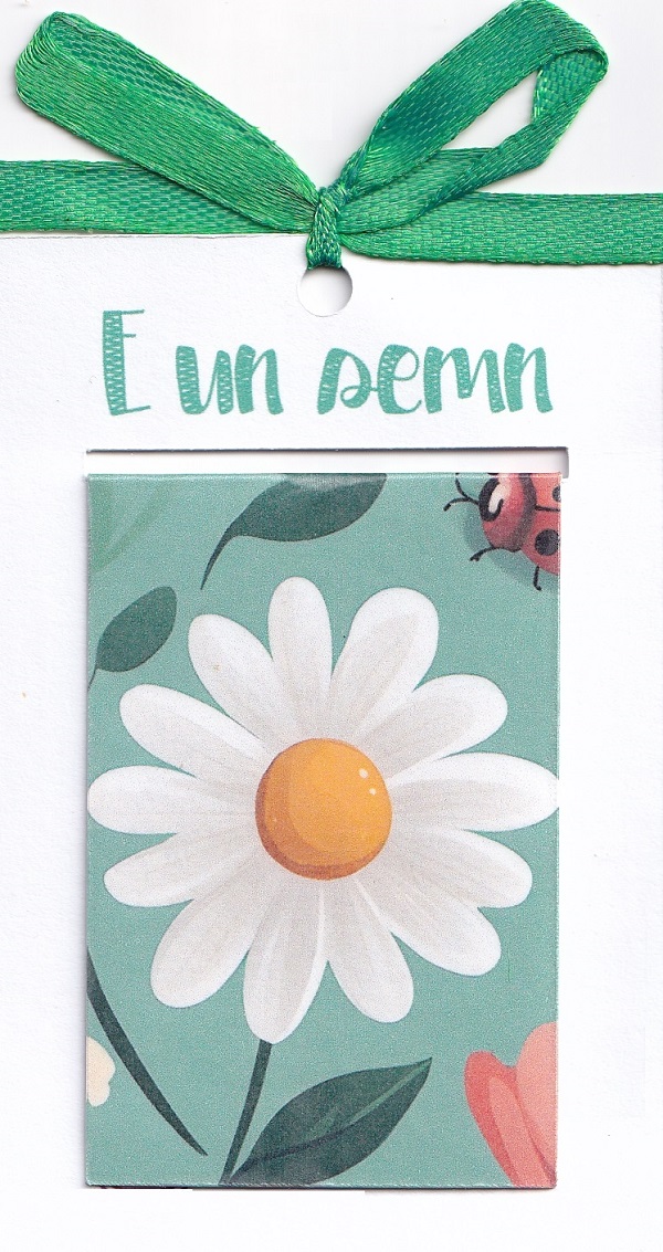 Semn de carte magnetic: Floral. Model 8
