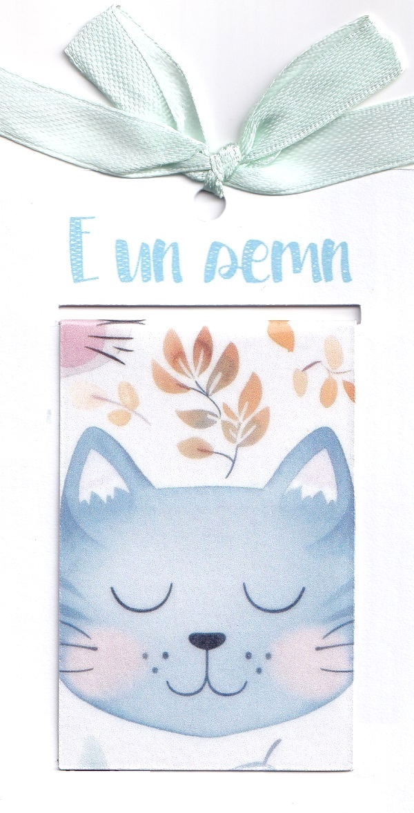 Semn de carte magnetic: Pisici. Model 4