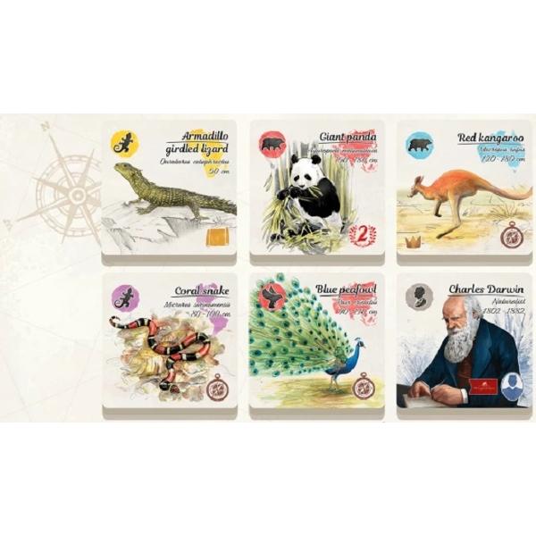 Joc de societate: Pe urmele lui Darwin