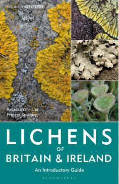 Lichens of Britain and Ireland - Dr Rebecca|stoakley Yahr