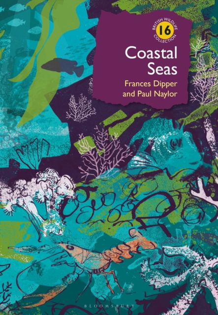 Coastal Seas - Dr Frances|naylor Dipper