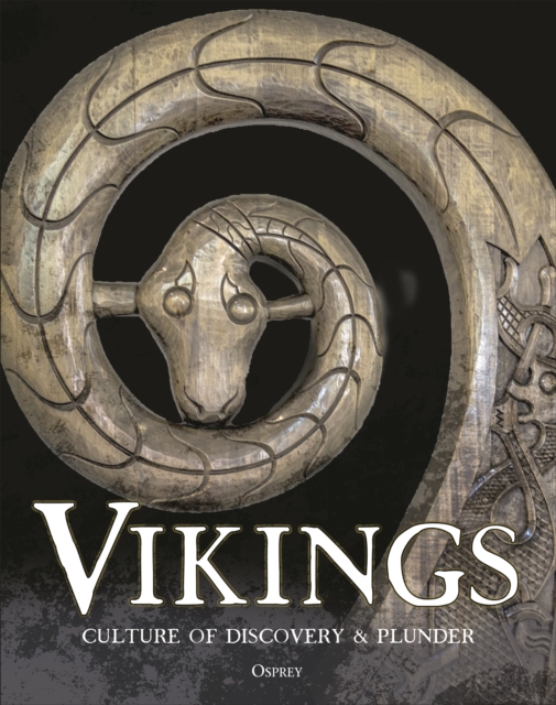 Coperta cărții 'Vikings -'