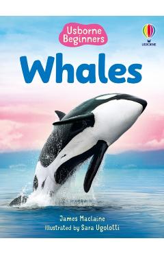Coperta cărții 'Beginners Whales - James Maclaine'