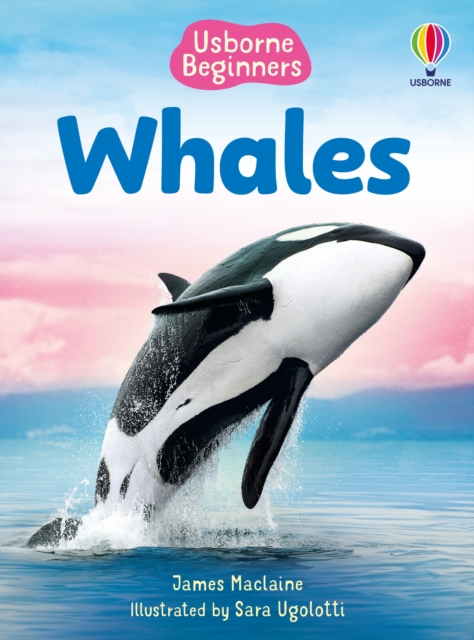 Coperta cărții 'Beginners Whales - James Maclaine'