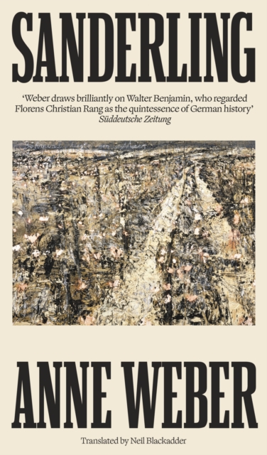 Coperta cărții 'Sanderling - Anne Weber'
