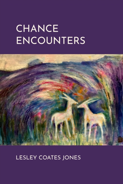 Chance Encounters - Lesley Coates Jones