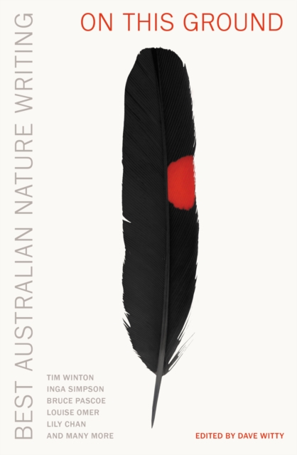Coperta cărții 'On this Ground -'
