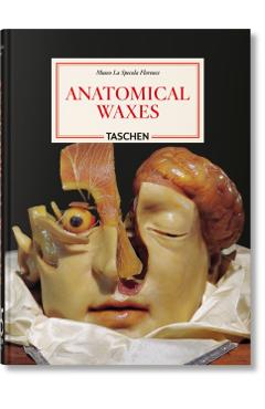 Poza produsului Anatomical Waxes. 45th Ed. - Marta Poggesi