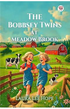 Bobbsey Twins At Meadow Brook (Edition1) - Laura Lee Hope