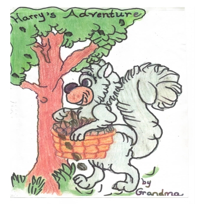 Harry's Adventure - Angela Devito