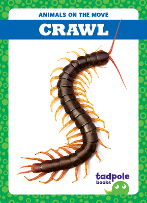 Crawl - Jenna Lee Gleisner