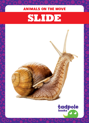 Slide - Jenna Lee Gleisner