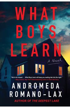 Poza produsului What Boys Learn - Andromeda Romano-lax