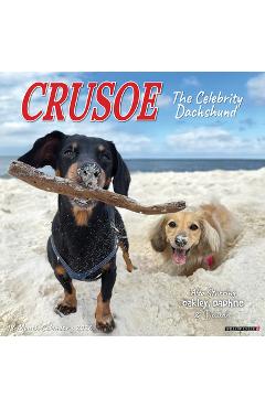 Coperta cărții 'Crusoe the Celebrity Dachshund 2026 12 X 12 Wall Calendar - Ryan Beauchesne'