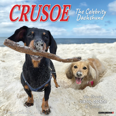 Crusoe the Celebrity Dachshund 2026 12 X 12 Wall Calendar - Ryan Beauchesne