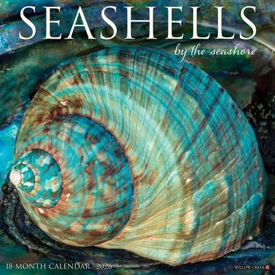 Seashells 2026 12 X 12 Wall Calendar -