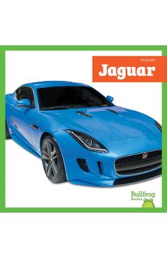 Coperta cărții 'Jaguar - Mari C. Schuh'