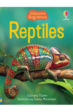 Coperta cărții 'Reptiles - Catriona Clarke'